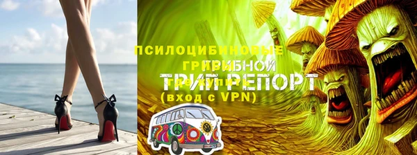 гашик Баксан